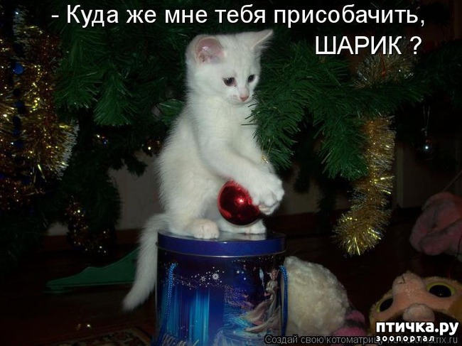 ���� 4: �����������: ����� ���� � ����� ���!