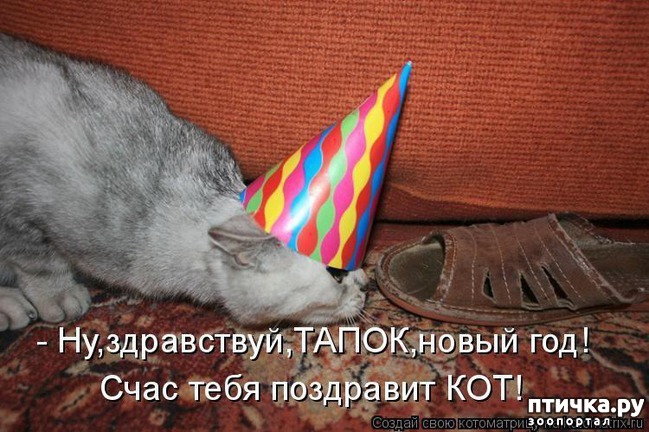 ���� 5: �����������: ����� ���� � ����� ���!