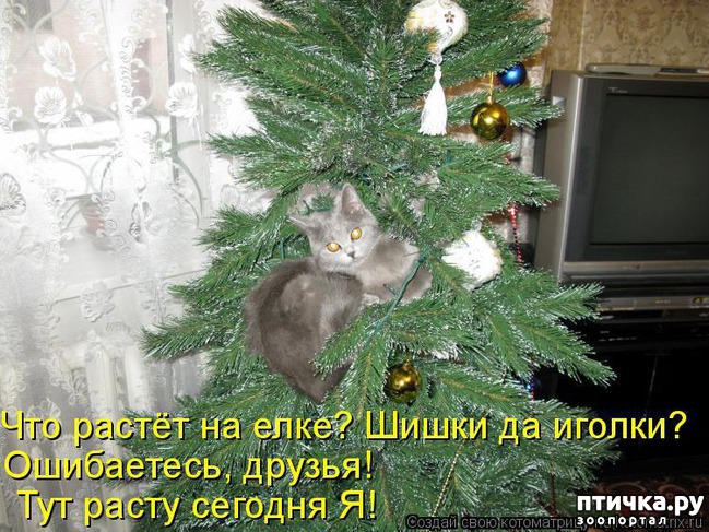 ���� 6: �����������: ����� ���� � ����� ���!