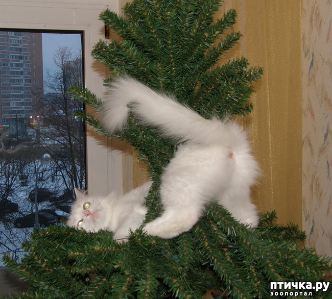 ���� 7: �����������: ����� ���� � ����� ���!