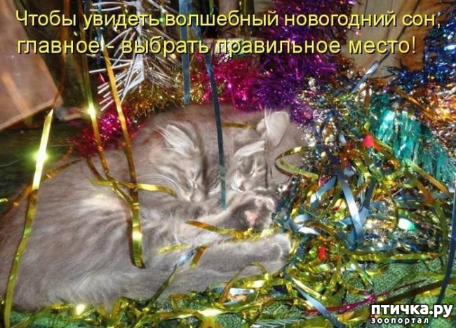 ���� 8: �����������: ����� ���� � ����� ���!