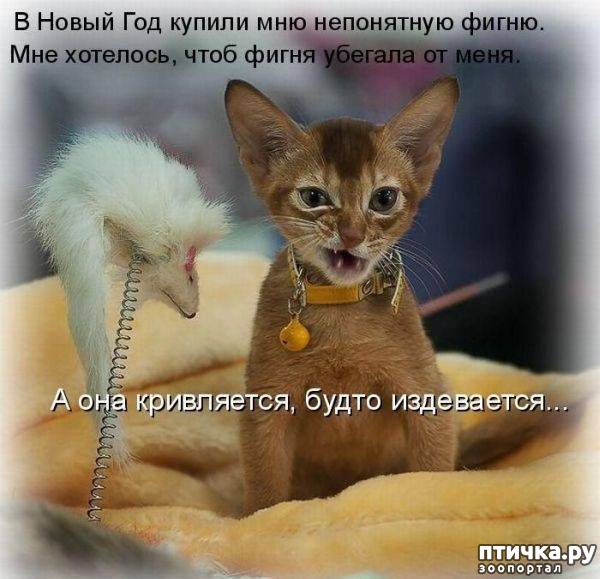 ���� 9: �����������: ����� ���� � ����� ���!