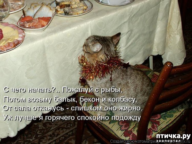 ���� 11: �����������: ����� ���� � ����� ���!