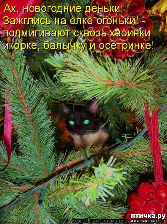 ���� 13: �����������: ����� ���� � ����� ���!