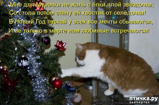 ���� 14: �����������: ����� ���� � ����� ���!