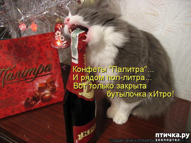 ���� 15: �����������: ����� ���� � ����� ���!