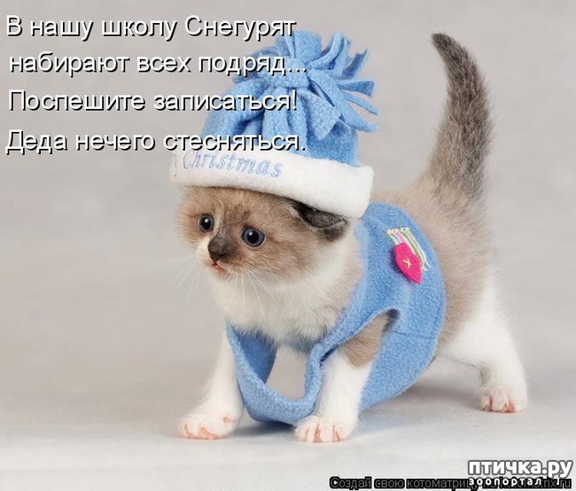 ���� 16: �����������: ����� ���� � ����� ���!