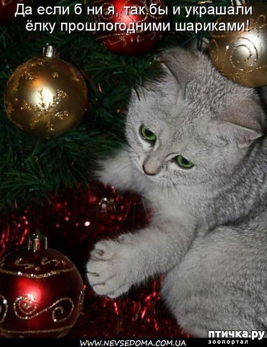 ���� 17: �����������: ����� ���� � ����� ���!