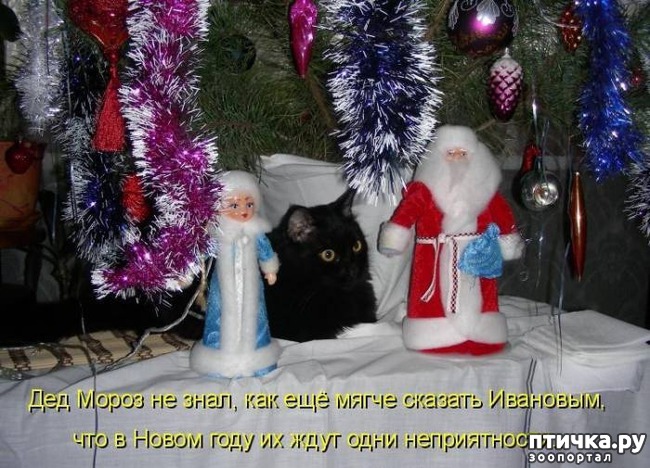 ���� 18: �����������: ����� ���� � ����� ���!