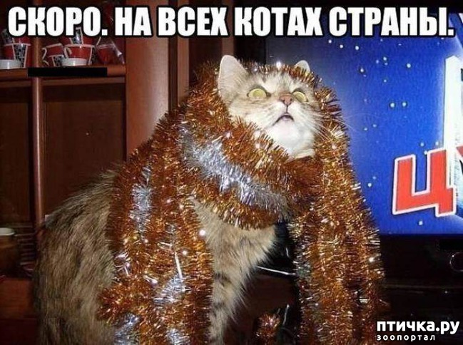 ���� 19: �����������: ����� ���� � ����� ���!