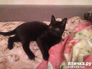 ����: ������ �� ����