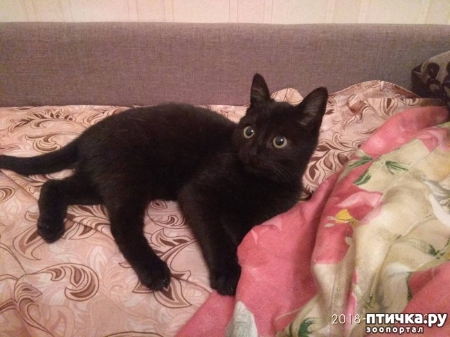 ���� 1: ������ �� ����