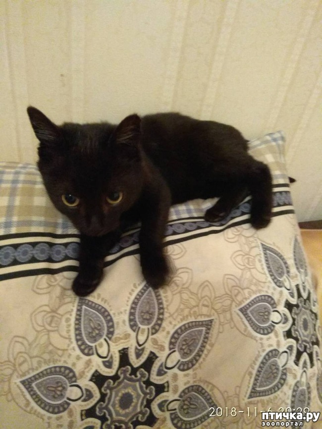 ���� 2: ������ �� ����