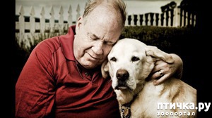 ����: ����� ��� �� ������ ������))