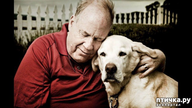 ���� 1: ����� ��� �� ������ ������))