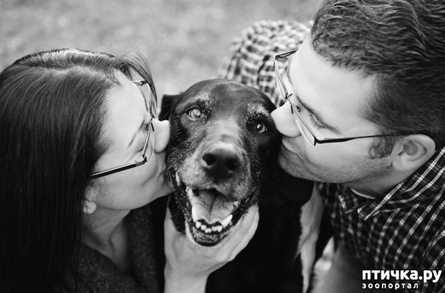 ���� 3: ����� ��� �� ������ ������))