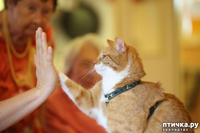 ���� 4: ����� ��� �� ������ ������))