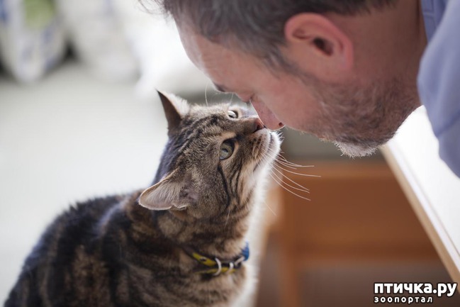 ���� 6: ����� ��� �� ������ ������))