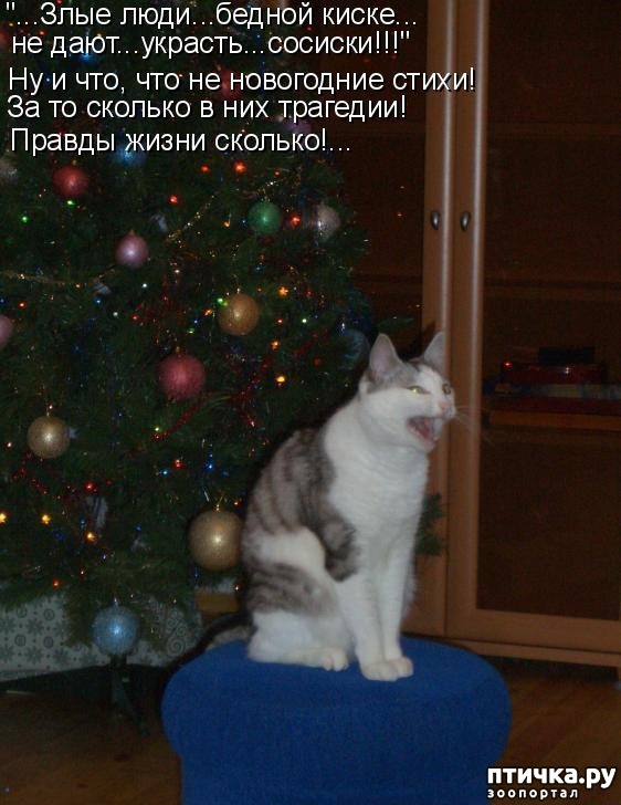 ���� 1: �����������: ����� ���� � ����� ���!