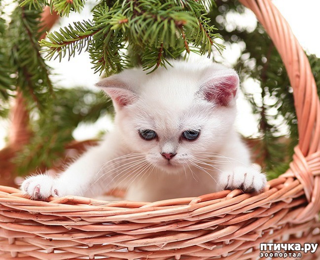 ���� 2: �����������: ����� ���� � ����� ���!