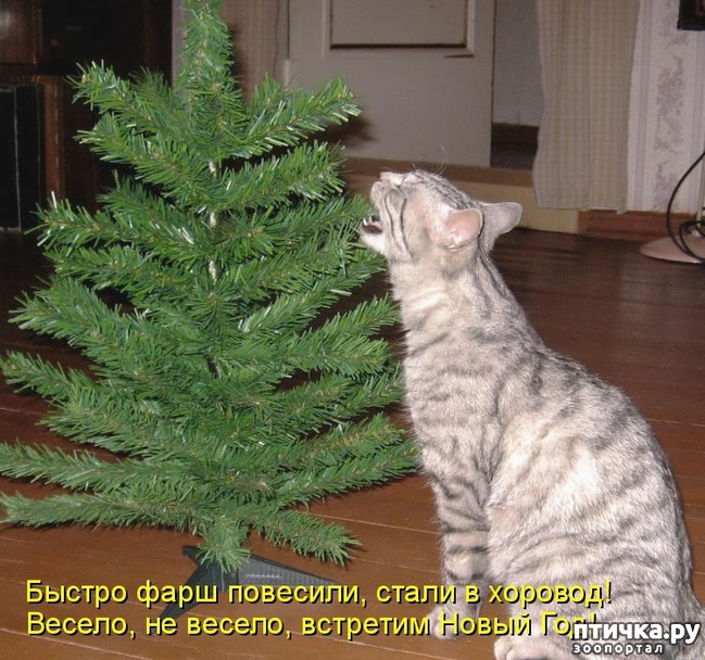 ���� 3: �����������: ����� ���� � ����� ���!