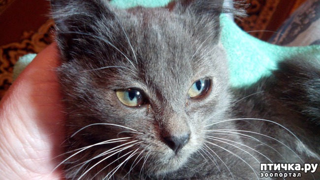 ���� 1: ��� �������