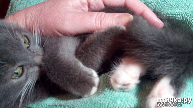 ���� 2: ��� �������