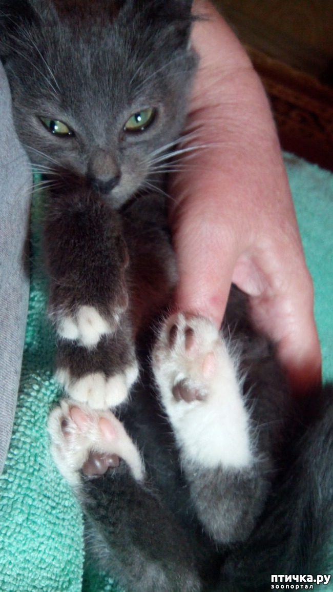 ���� 3: ��� �������