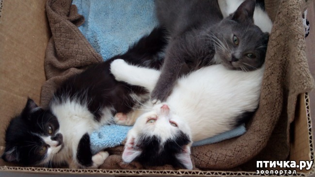 ���� 5: ��� �������