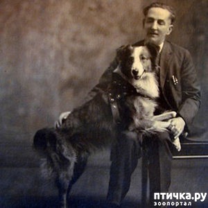 ����: ������ ����������� �����