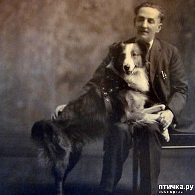 ���� 1: ������ ����������� �����