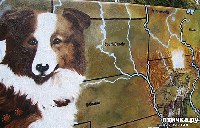 ���� 2: ������ ����������� �����