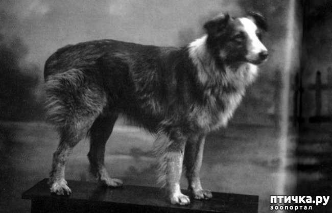 ���� 3: ������ ����������� �����