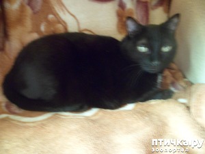 ����: ������� �� ����))) ��� � ��������� �����?)))