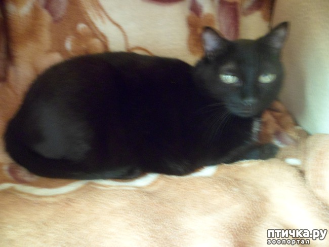 ���� 1: ������� �� ����))) ��� � ��������� �����?)))