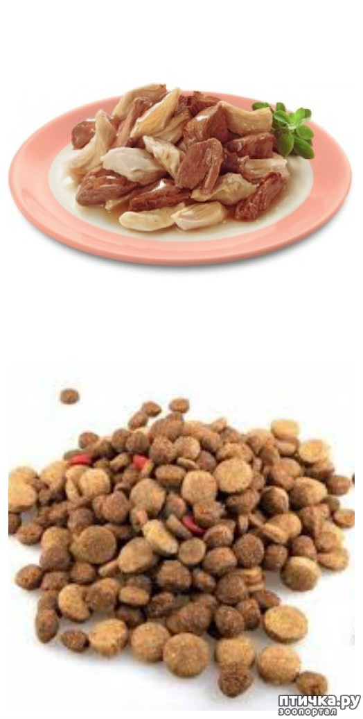 ���� 1: ��� ��������� �������.