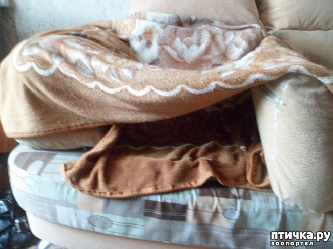 ���� 2: ������� �� ����))) ��� � ��������� �����?)))