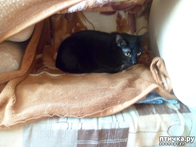 ���� 4: ������� �� ����))) ��� � ��������� �����?)))