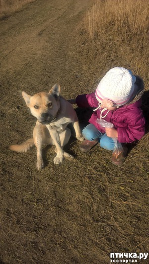 ����: �� ������������� �� � ���?