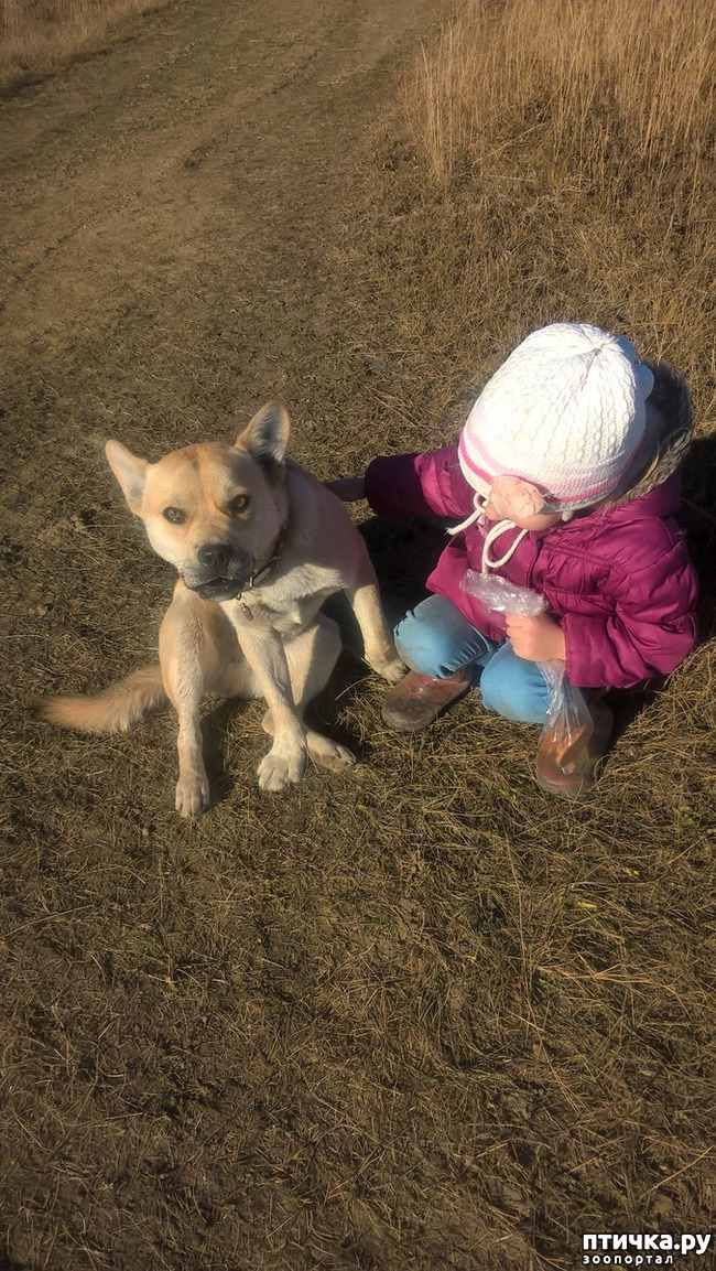 ���� 1: �� ������������� �� � ���?