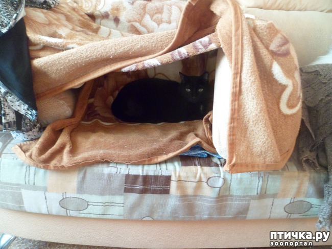 ���� 5: ������� �� ����))) ��� � ��������� �����?)))