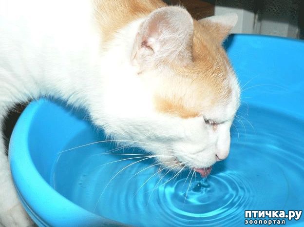 ���� 4: ������������� ������� �����