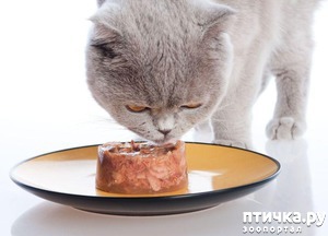 ����: ������������� ������� �����