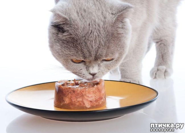 ���� 1: ������������� ������� �����