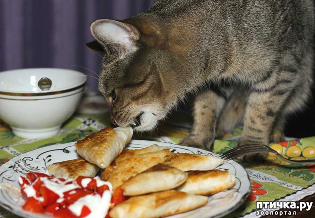 ���� 2: ������������� ������� �����