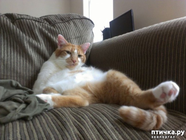 ���� 5: ������������� ������� �����