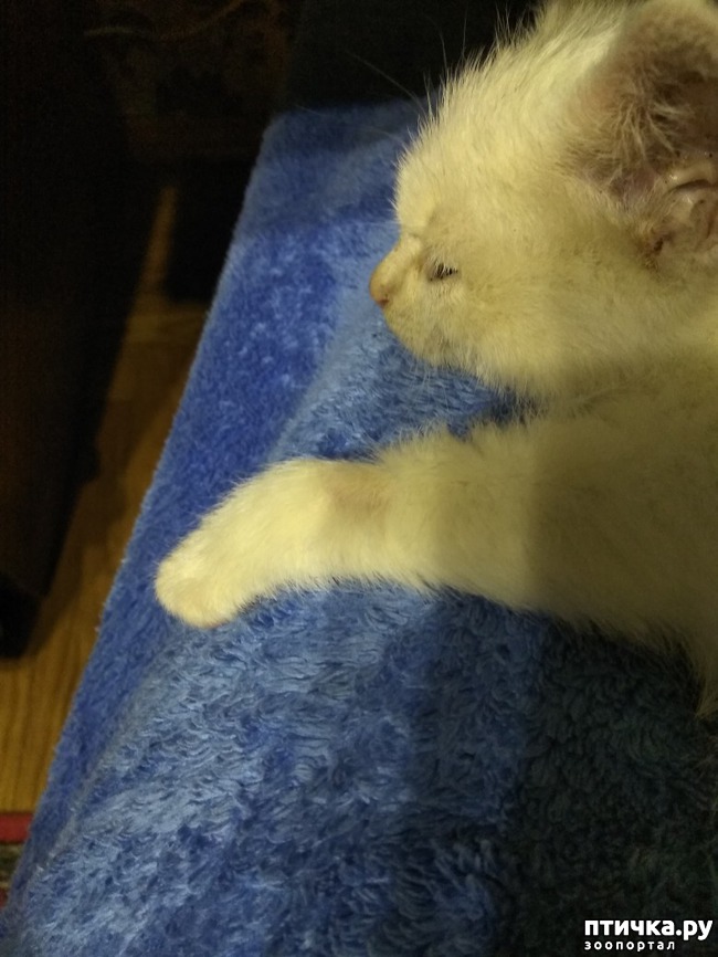 ���� 2: ��� � ��� ������?