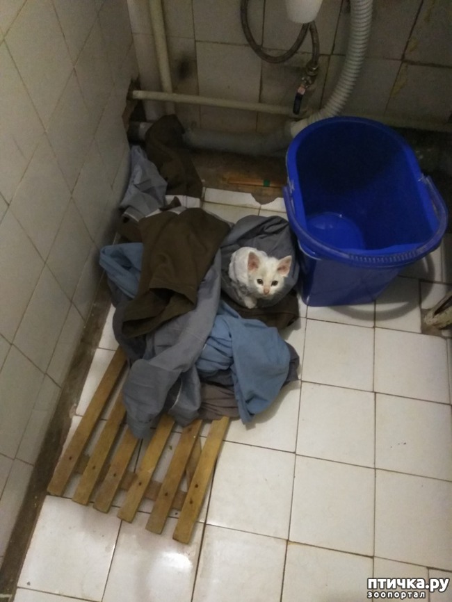 ���� 4: ��� � ��� ������?