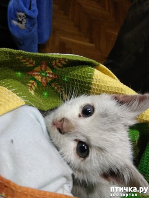 ����: ��� � ��� ������?