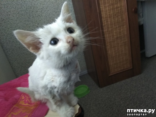 ���� 3: ��� � ��� ������?